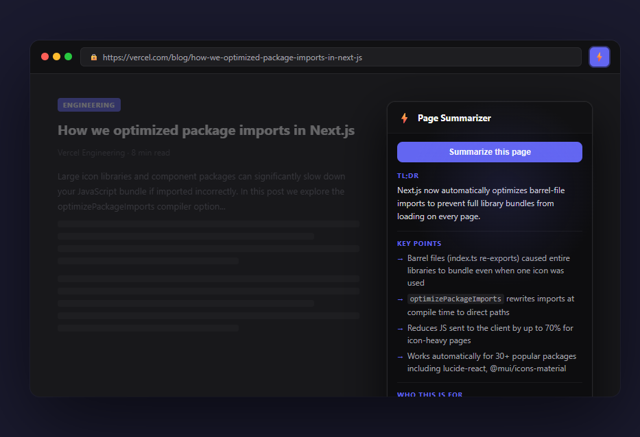 Page Summarizer extension screenshot